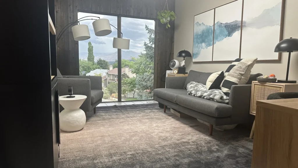 comfortable room to meet with a therapist