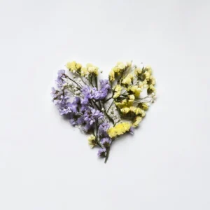 flowers form a heart on a white background