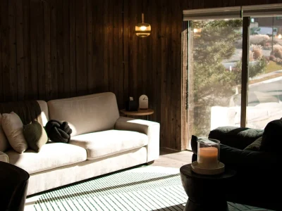 a couch and armchair in the clinic